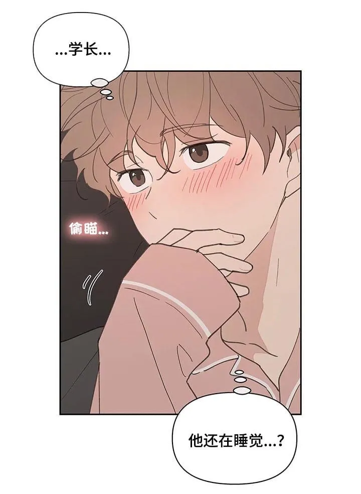 第67章：回家 第3页