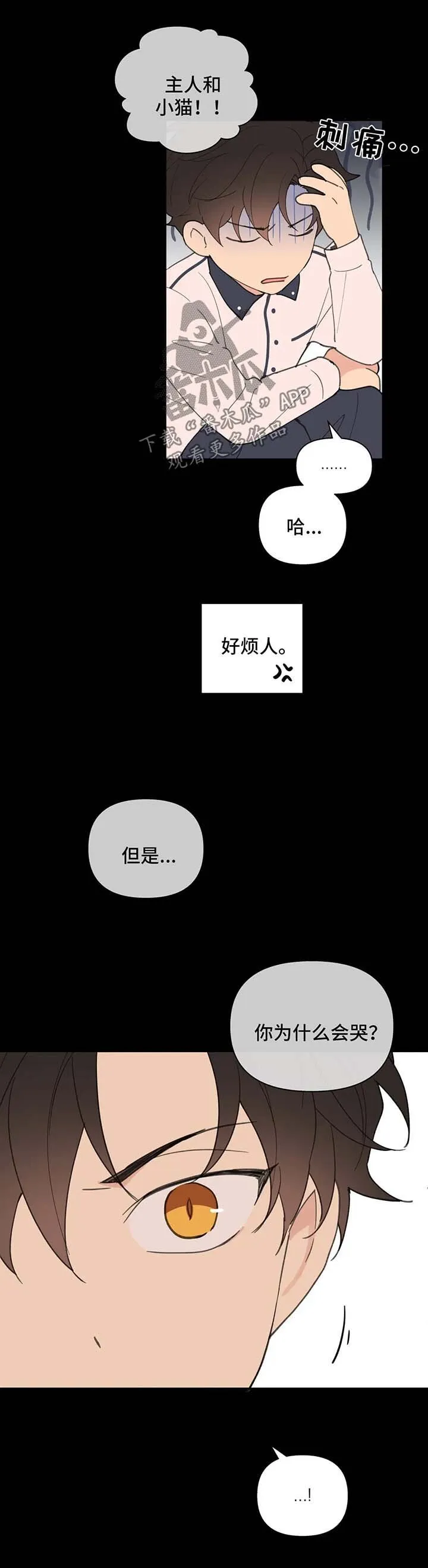 第78章：喜欢漂亮的 第3页