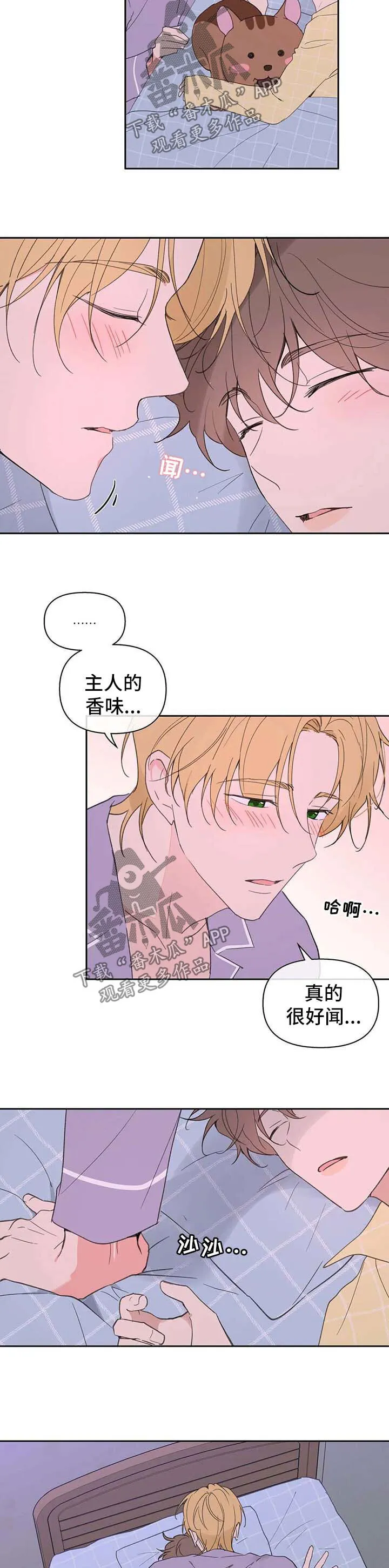 第95章：心跳如鼓 第3页