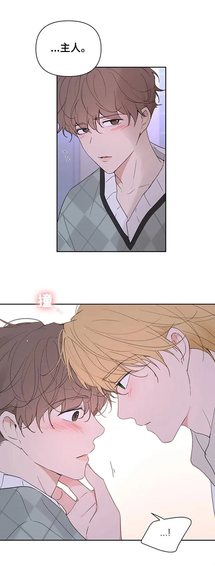 第104章：并不讨厌 第13页