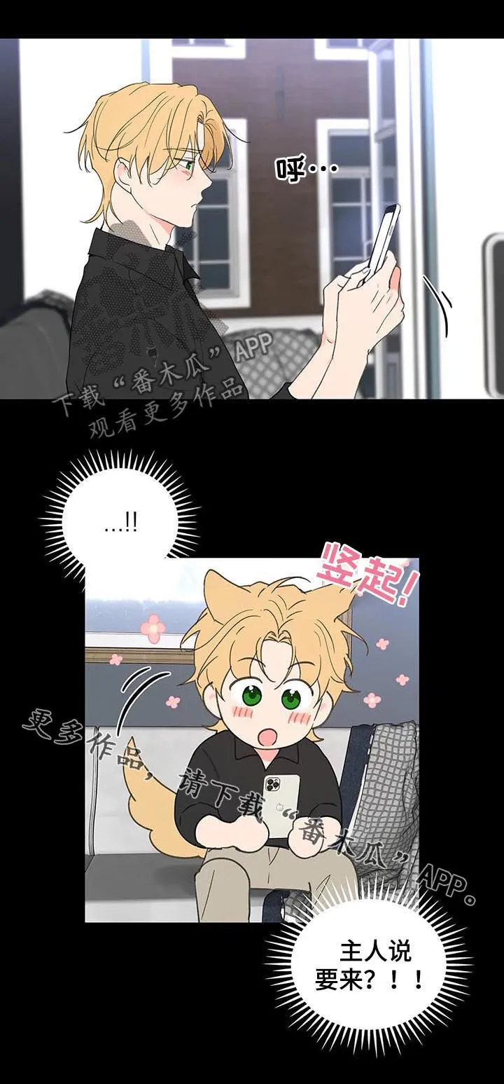 第106章：忠诚 第26页