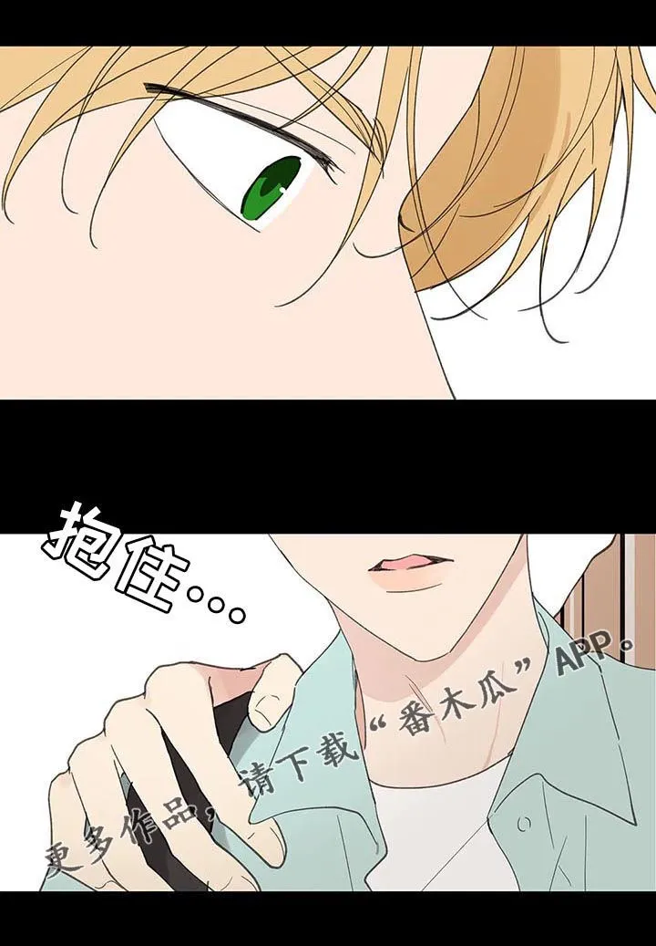第106章：忠诚 第27页