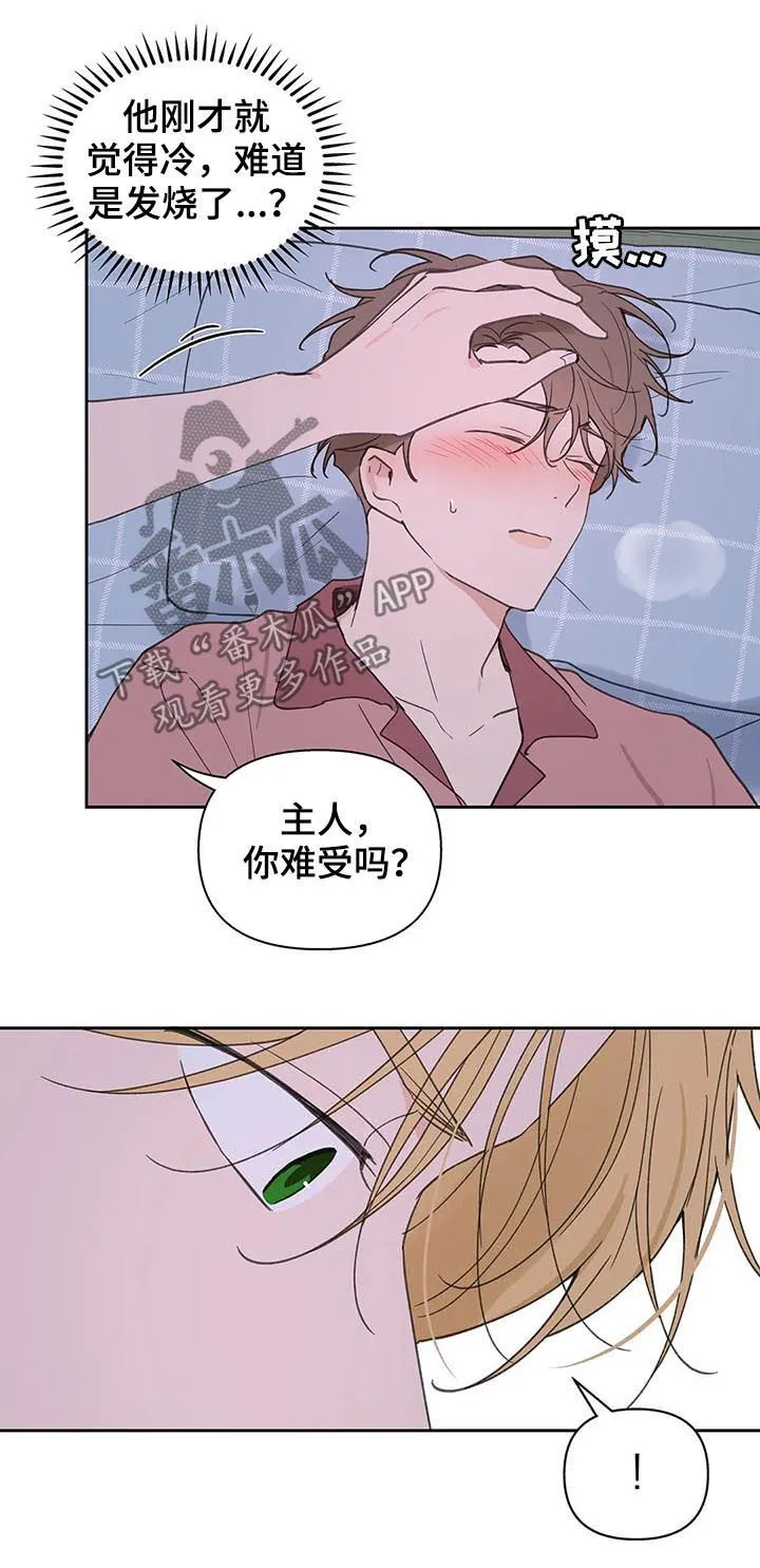 第107章：喂药 第8页
