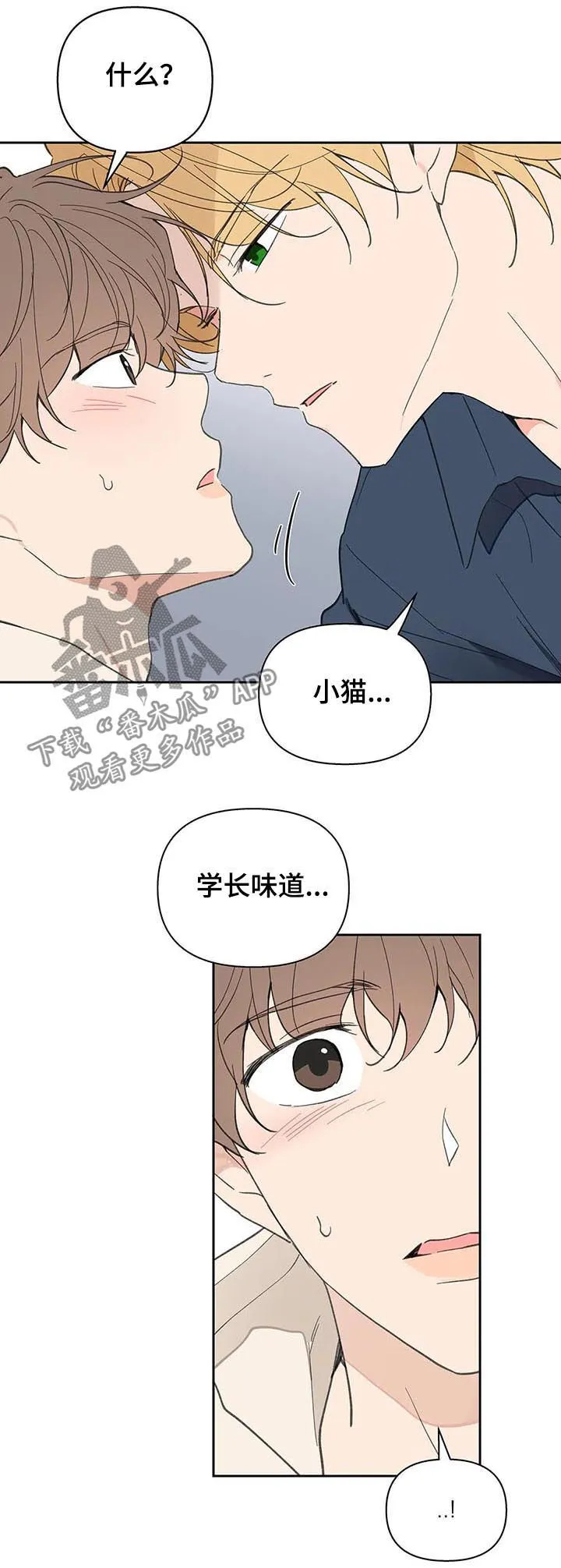 第113章：你忘了？ 第13页
