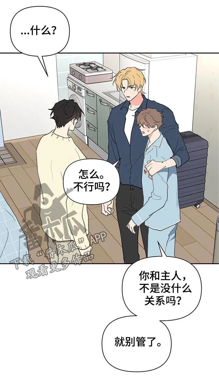 第116章：够了 第17页