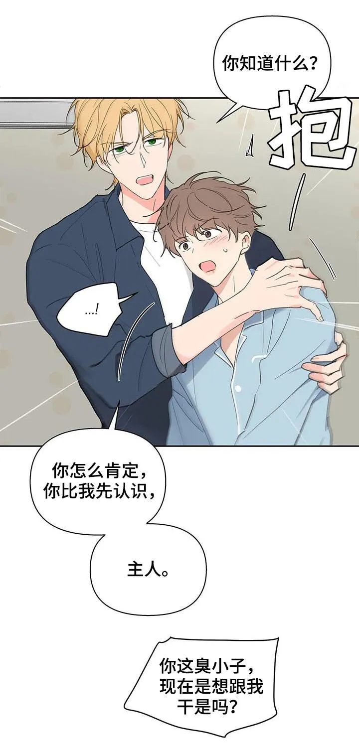 第116章：够了 第20页