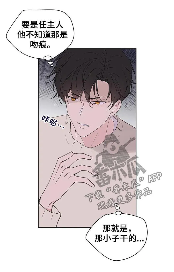 第118章：记忆 第8页