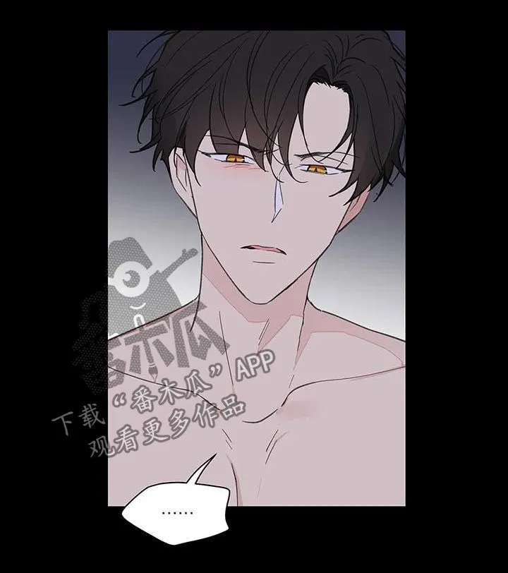第118章：记忆 第14页