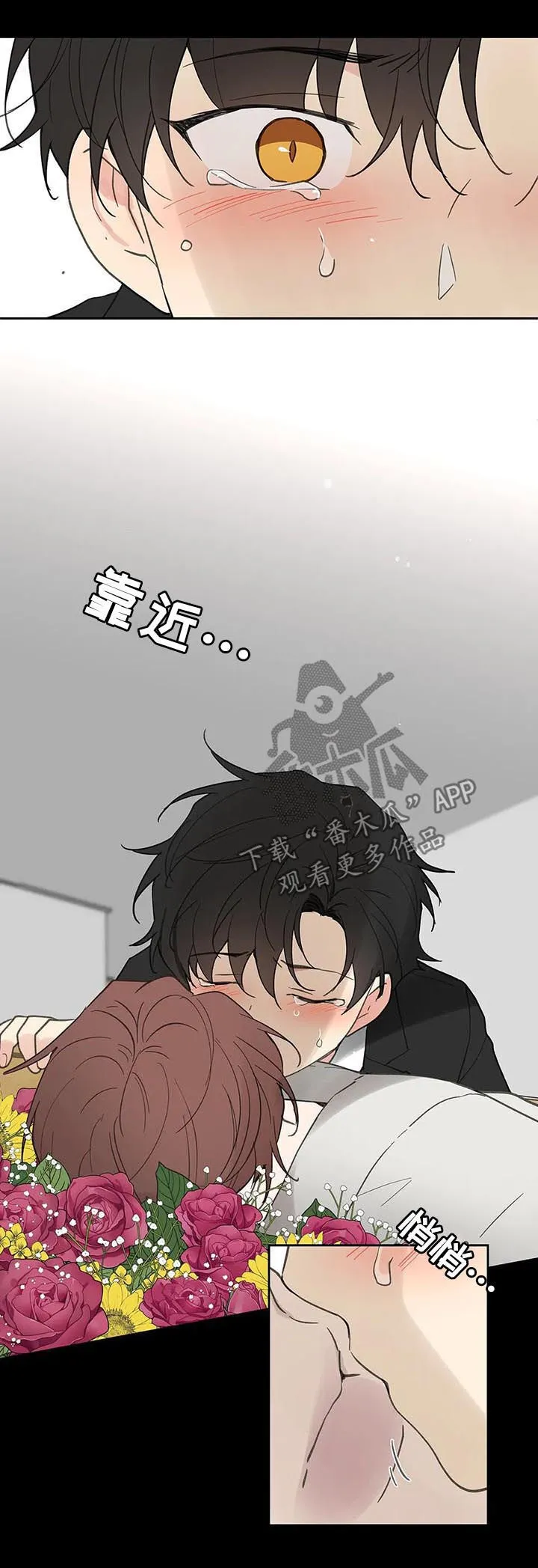第118章：记忆 第19页