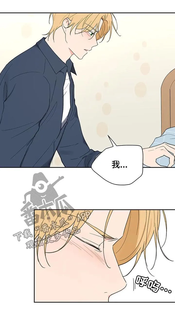 第120章：平静 第6页