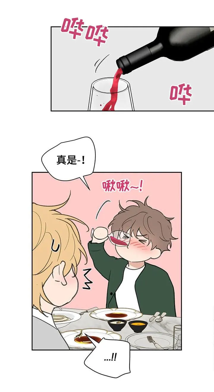 第124章：共进晚餐 第17页