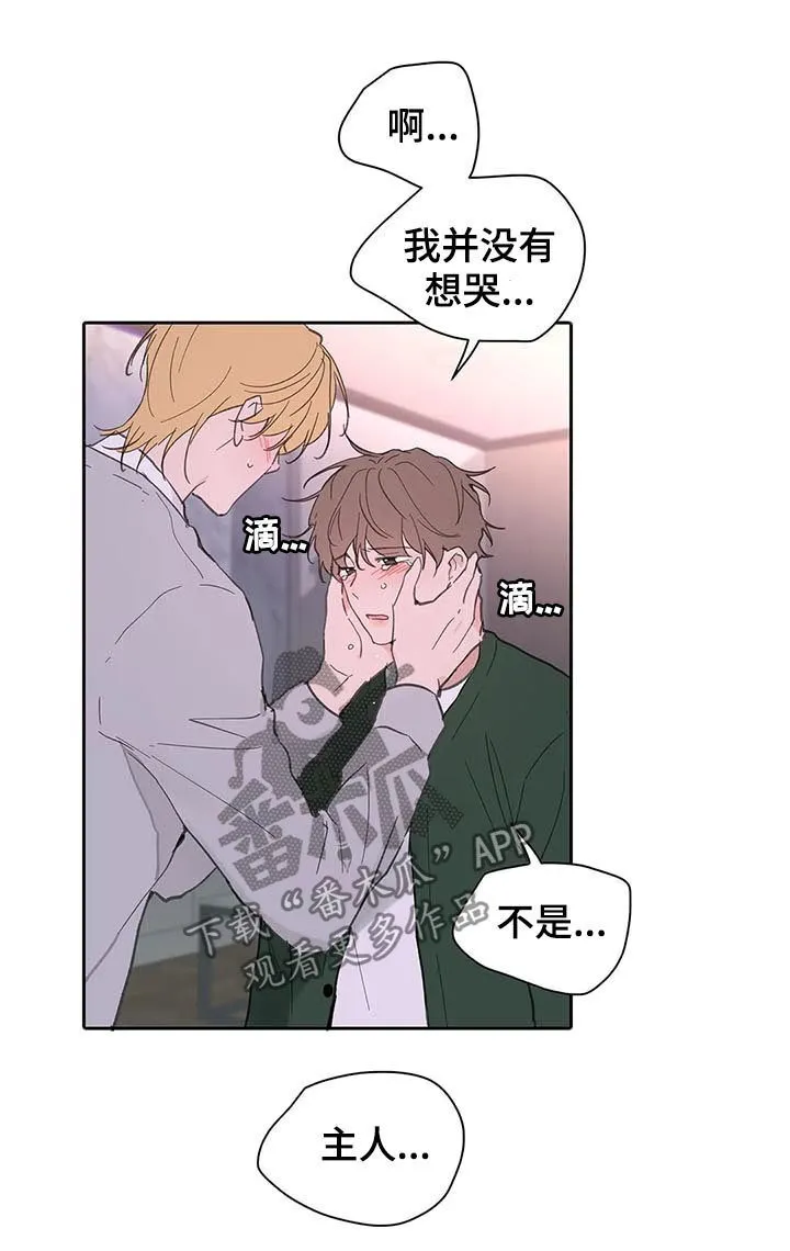 第125章：生日（第二季完结） 第12页