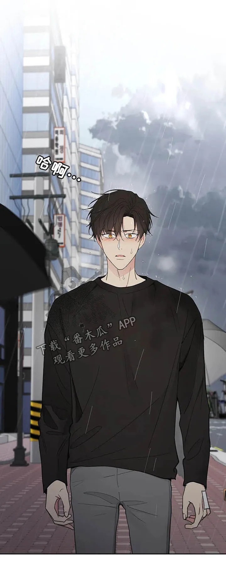 第132章：【番外】不想受伤 第17页