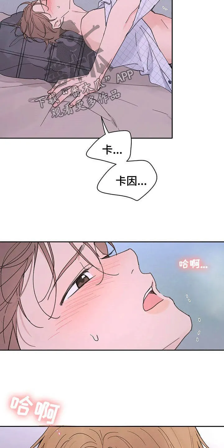 第135章：【番外】可以吧 第13页