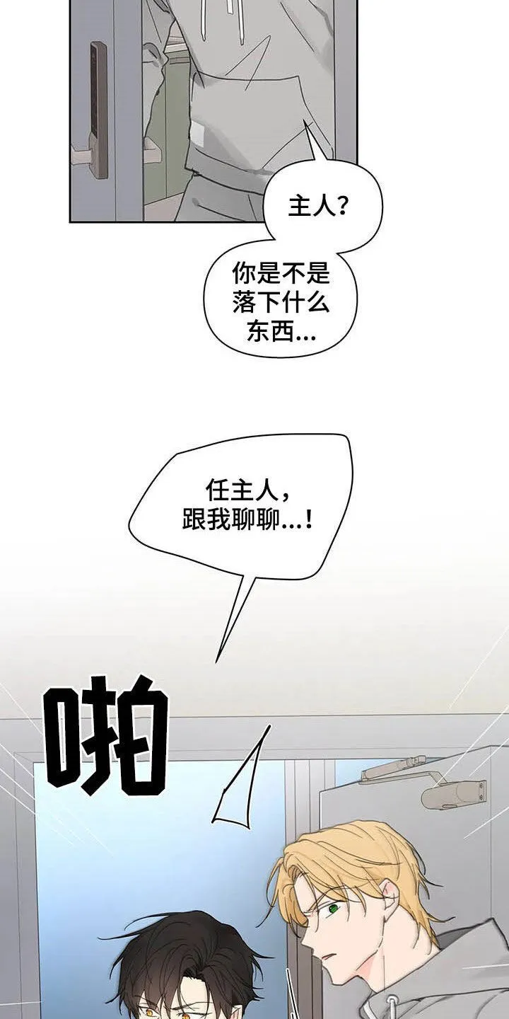 第139章：【番外】重拳 第12页