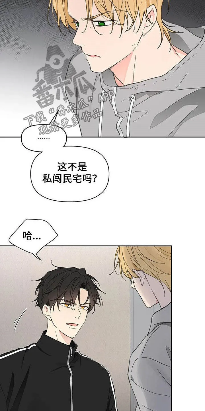 第139章：【番外】重拳 第15页