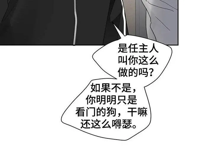 第139章：【番外】重拳 第16页