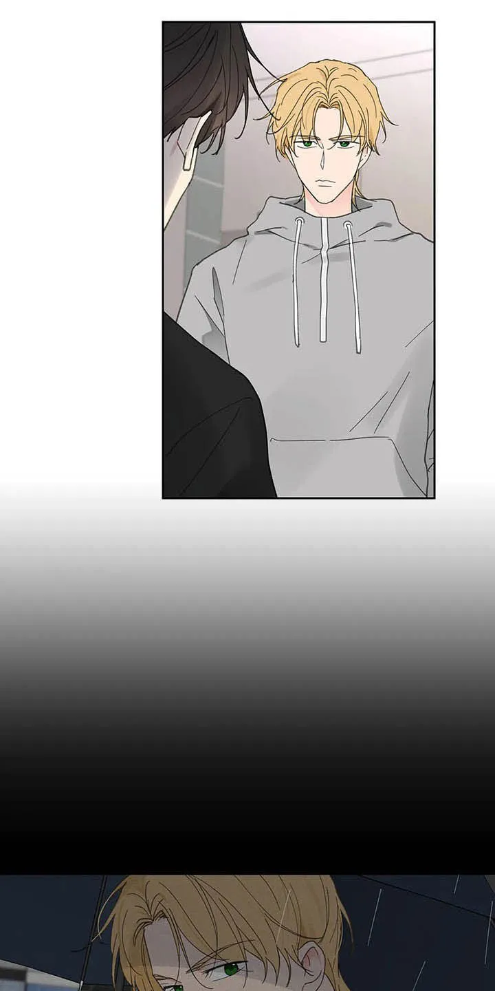 第139章：【番外】重拳 第17页