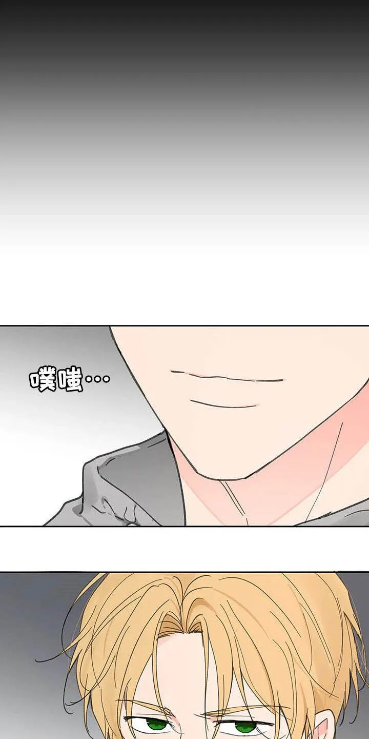 第139章：【番外】重拳 第19页