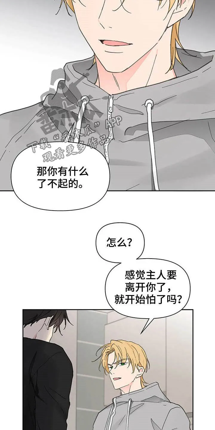 第139章：【番外】重拳 第20页