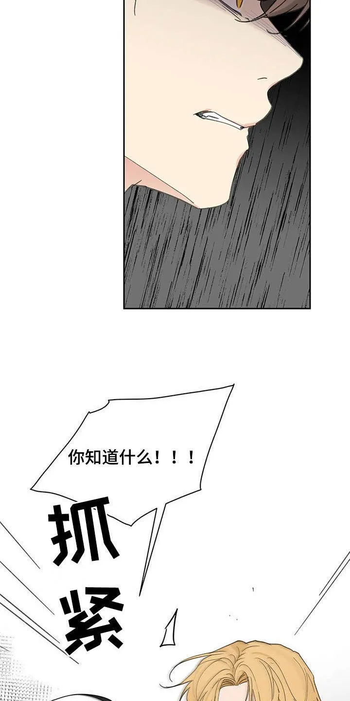 第139章：【番外】重拳 第22页
