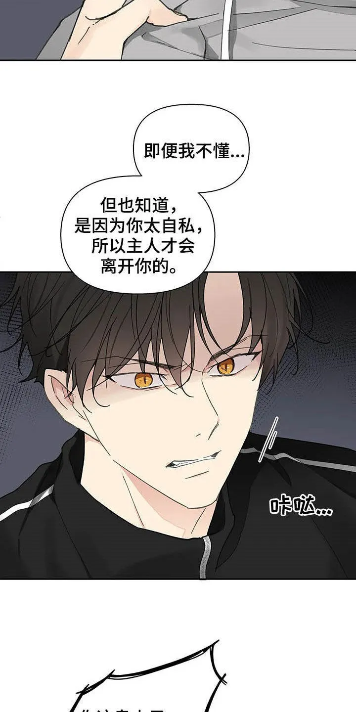 第139章：【番外】重拳 第24页