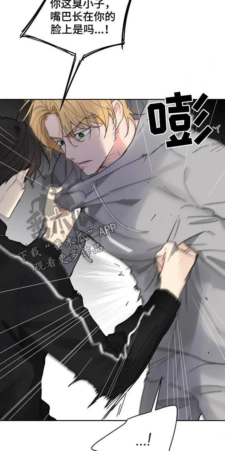 第139章：【番外】重拳 第25页