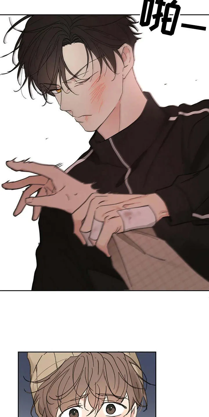 第142章：【番外】想要挽回 第6页