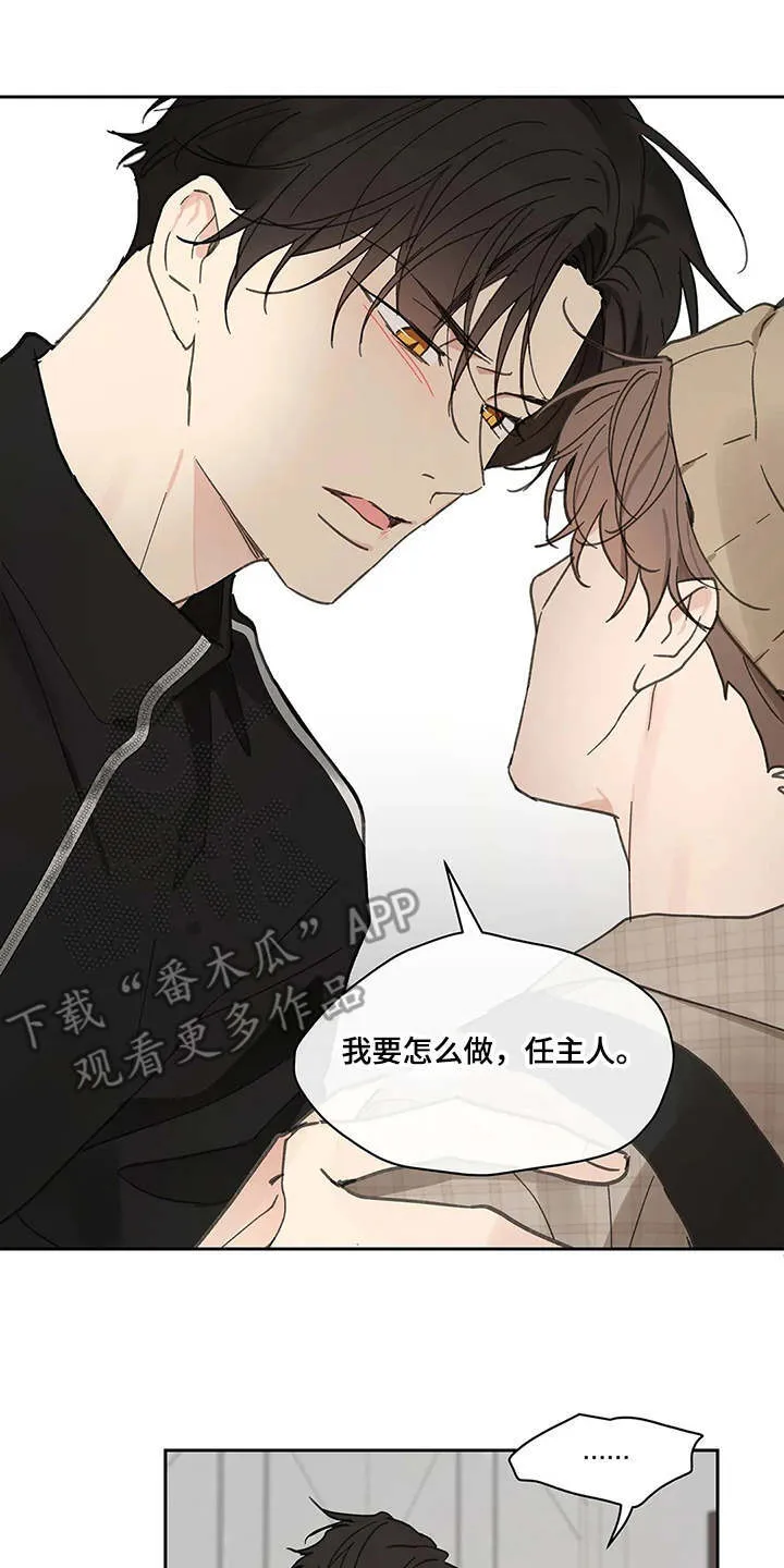 第142章：【番外】想要挽回 第14页