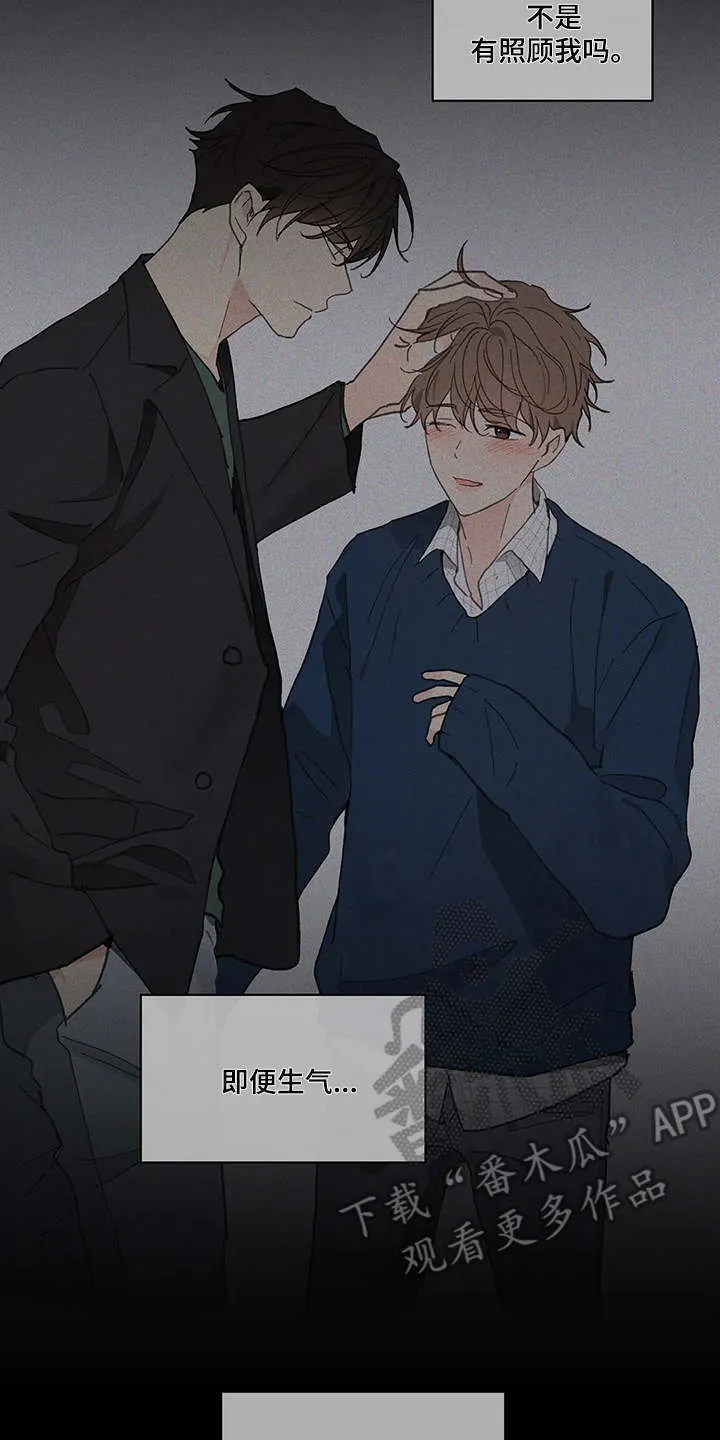 第142章：【番外】想要挽回 第17页
