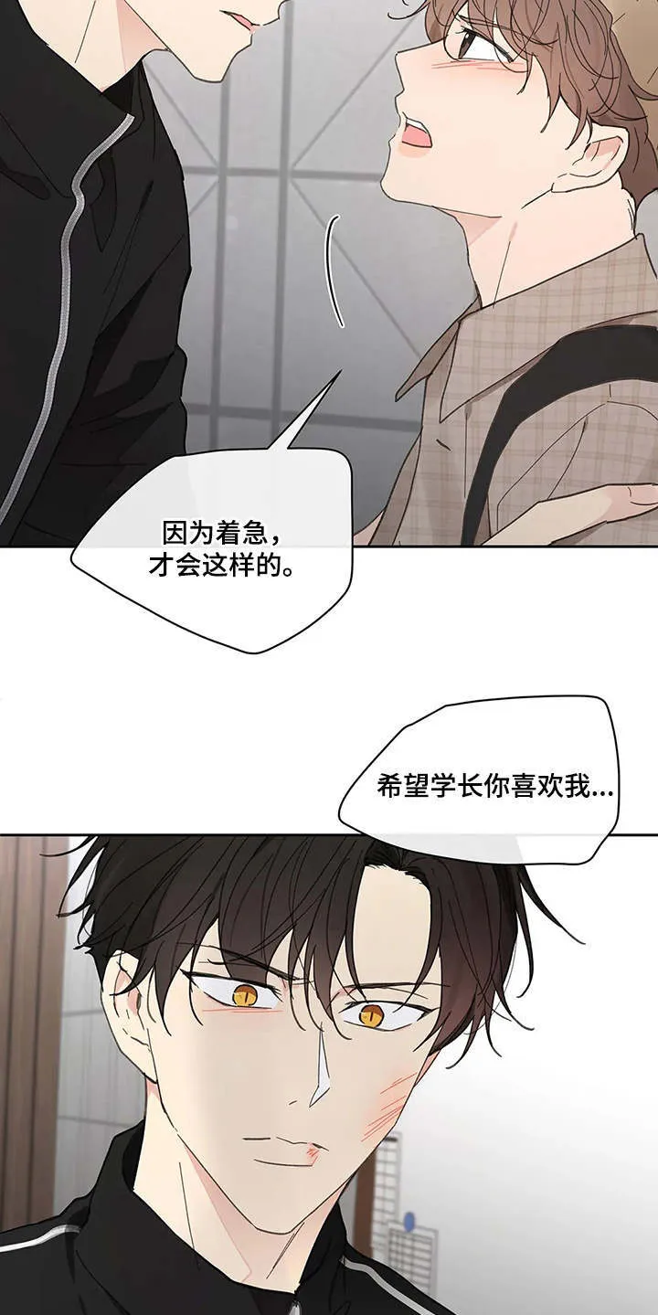 第142章：【番外】想要挽回 第22页
