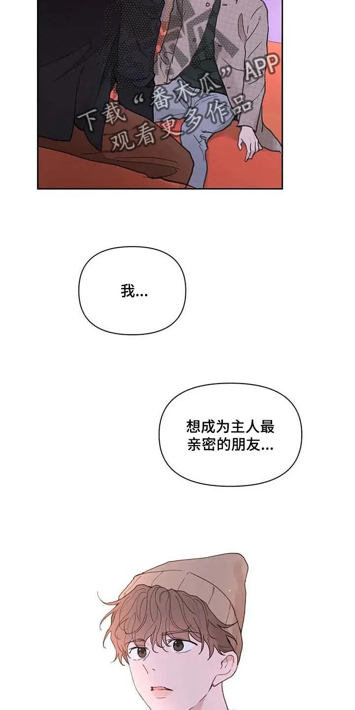 第146章：【番外】很喜欢你 第15页