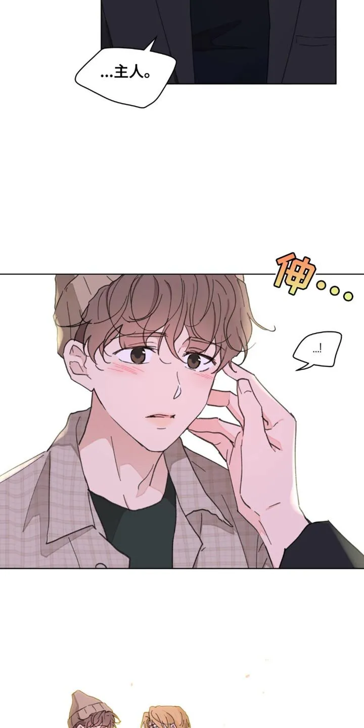 第147章：【番外】总是被吸引 第13页