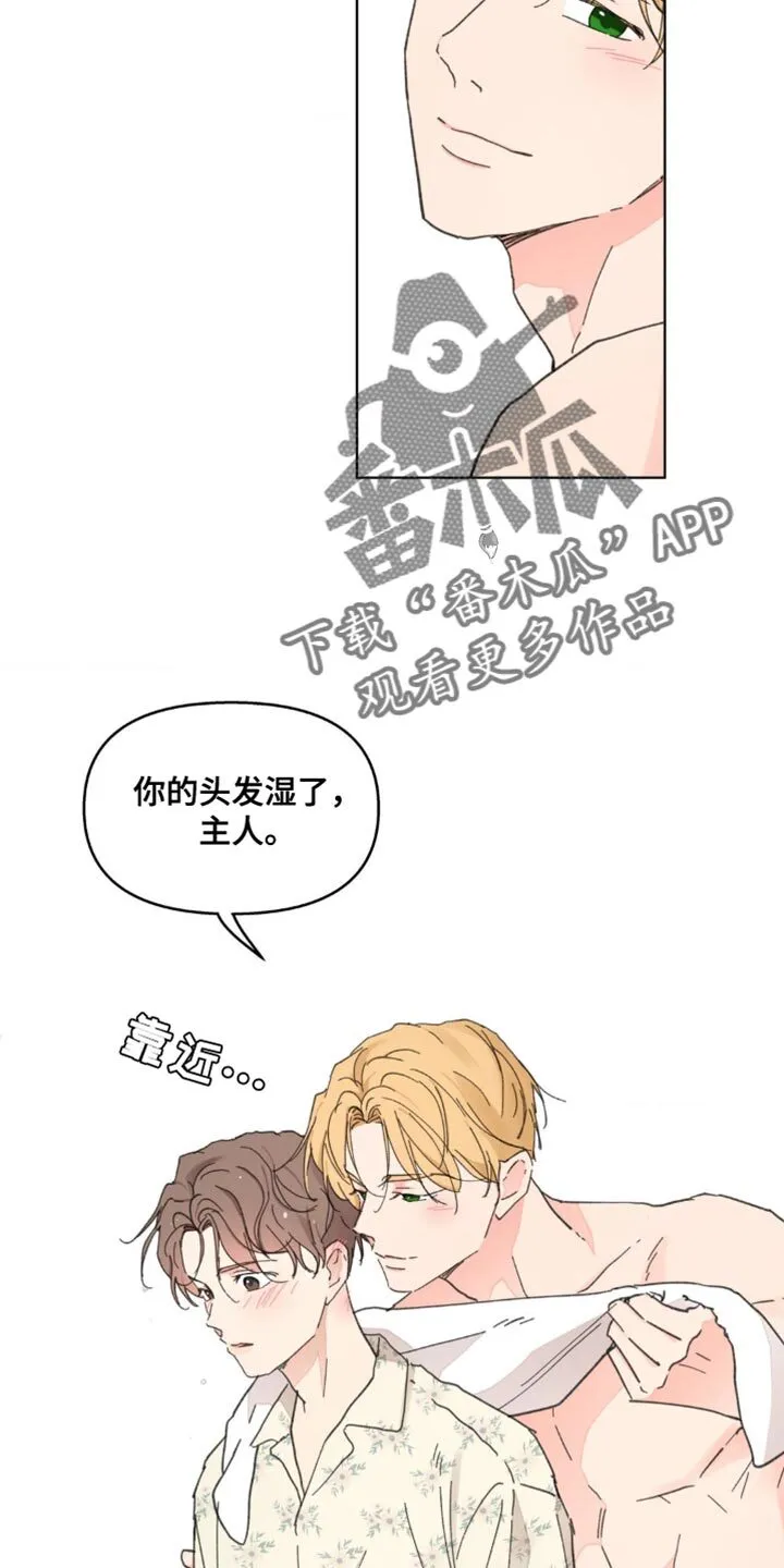 第147章：【番外】总是被吸引 第28页