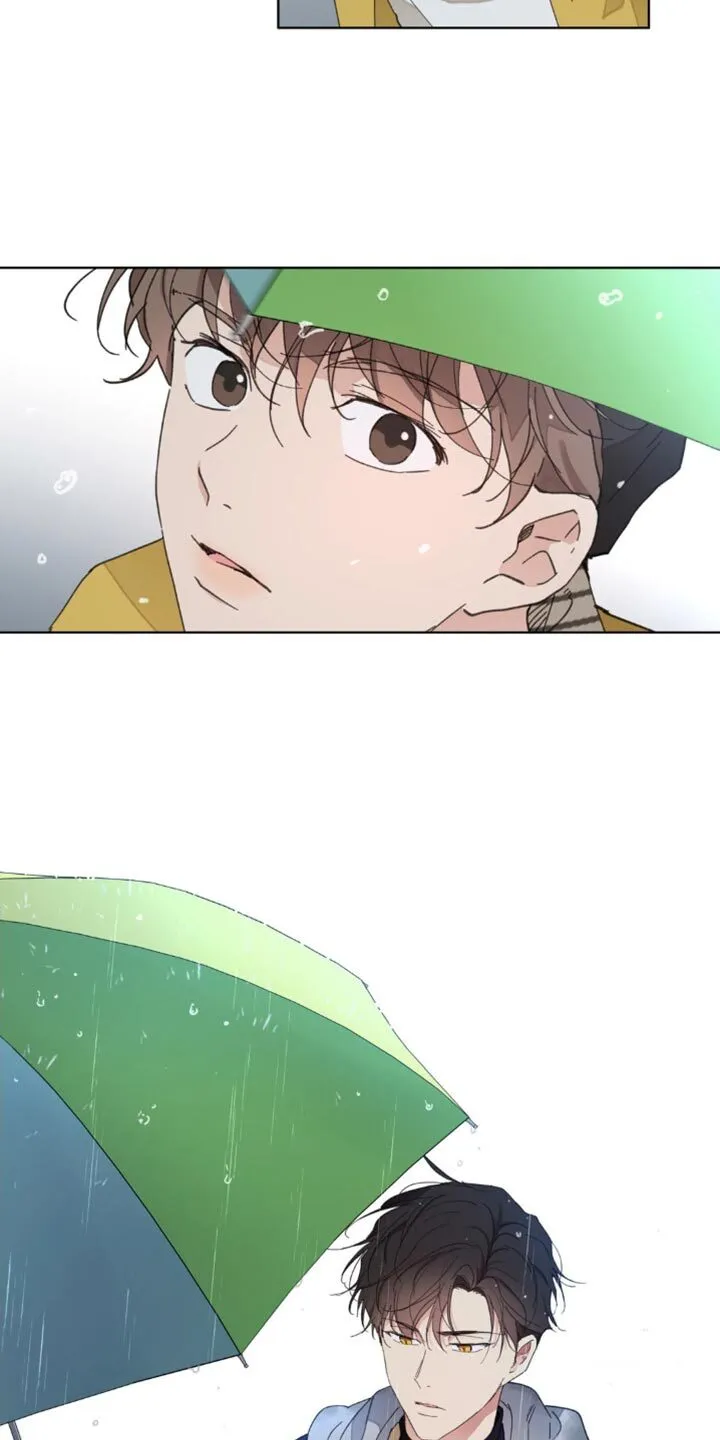 第150章：【番外】车祸 第11页