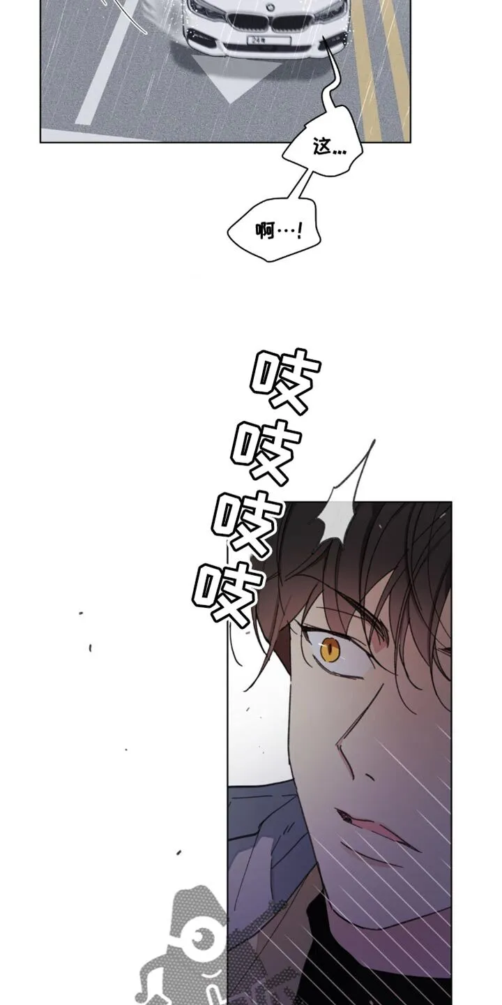 第150章：【番外】车祸 第21页