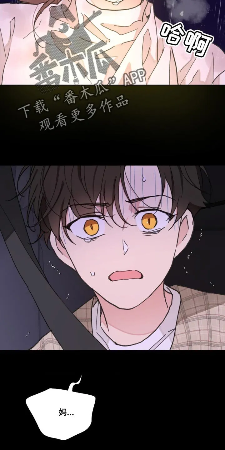 第156章：【番外】惊喜 第25页
