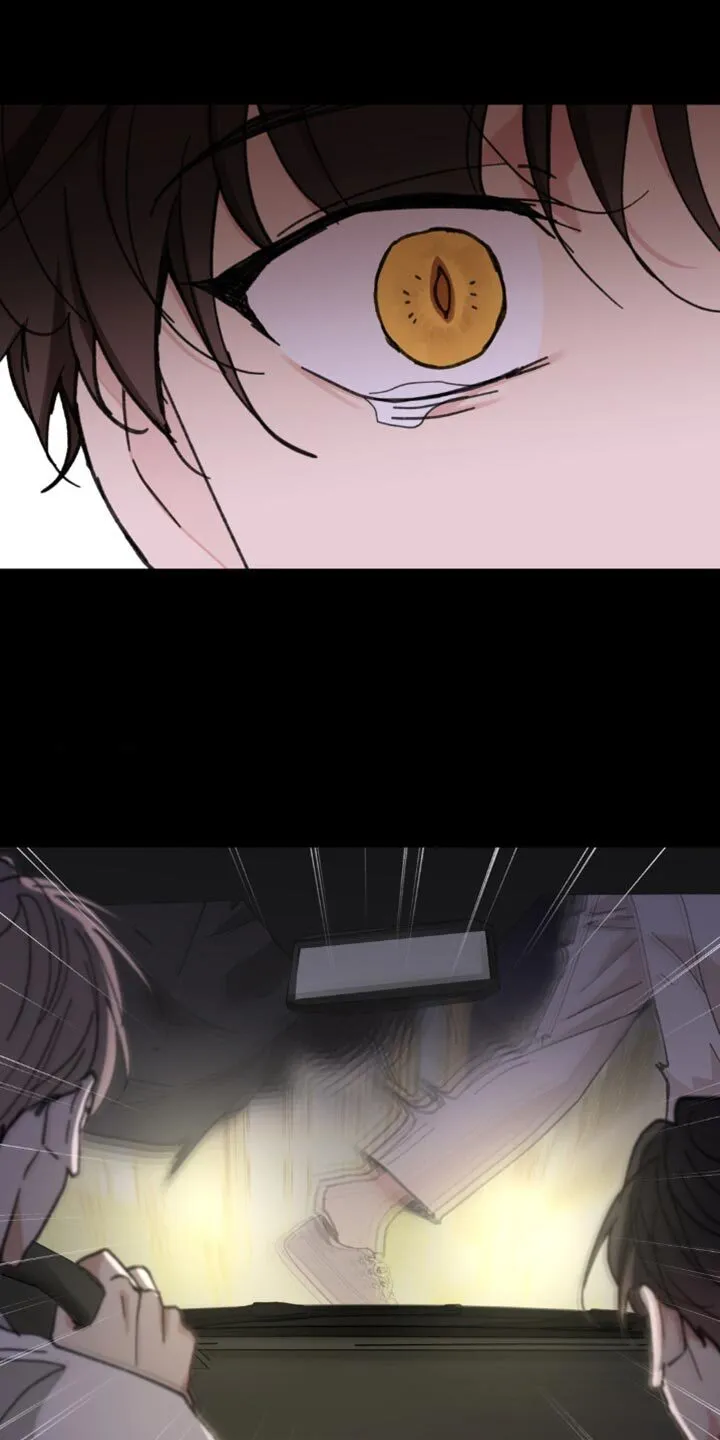 第156章：【番外】惊喜 第28页