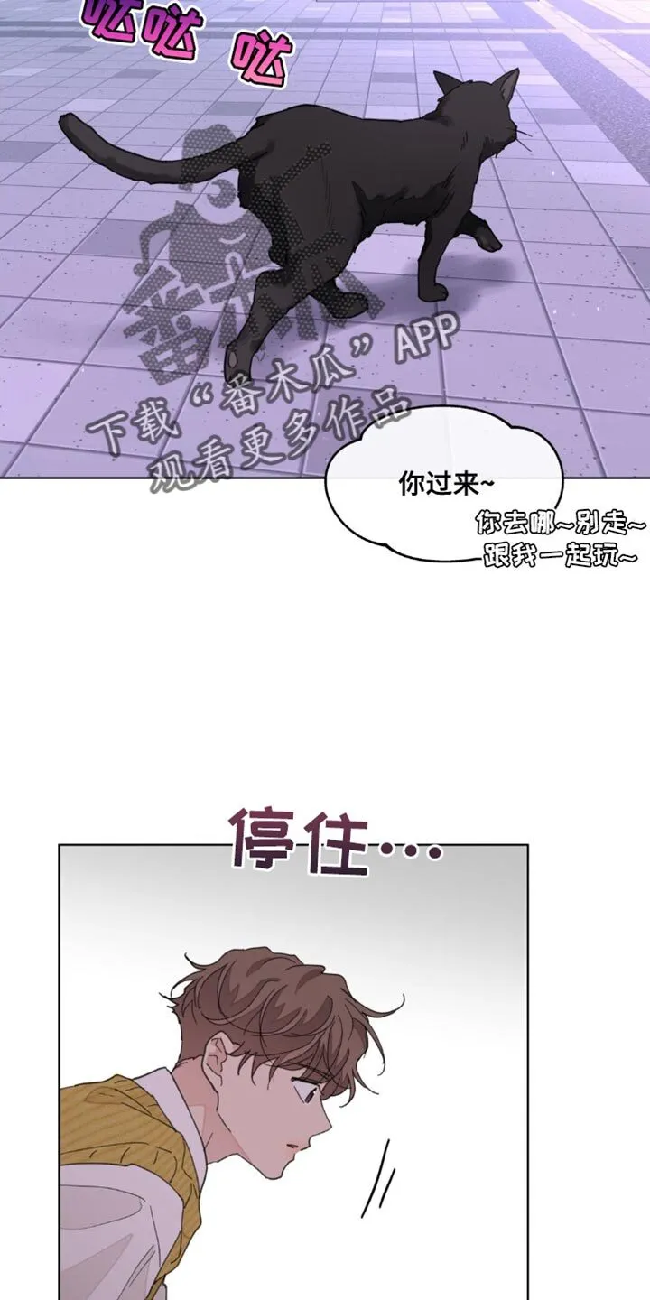 第160章：【番外】绝对不会忘记 第4页
