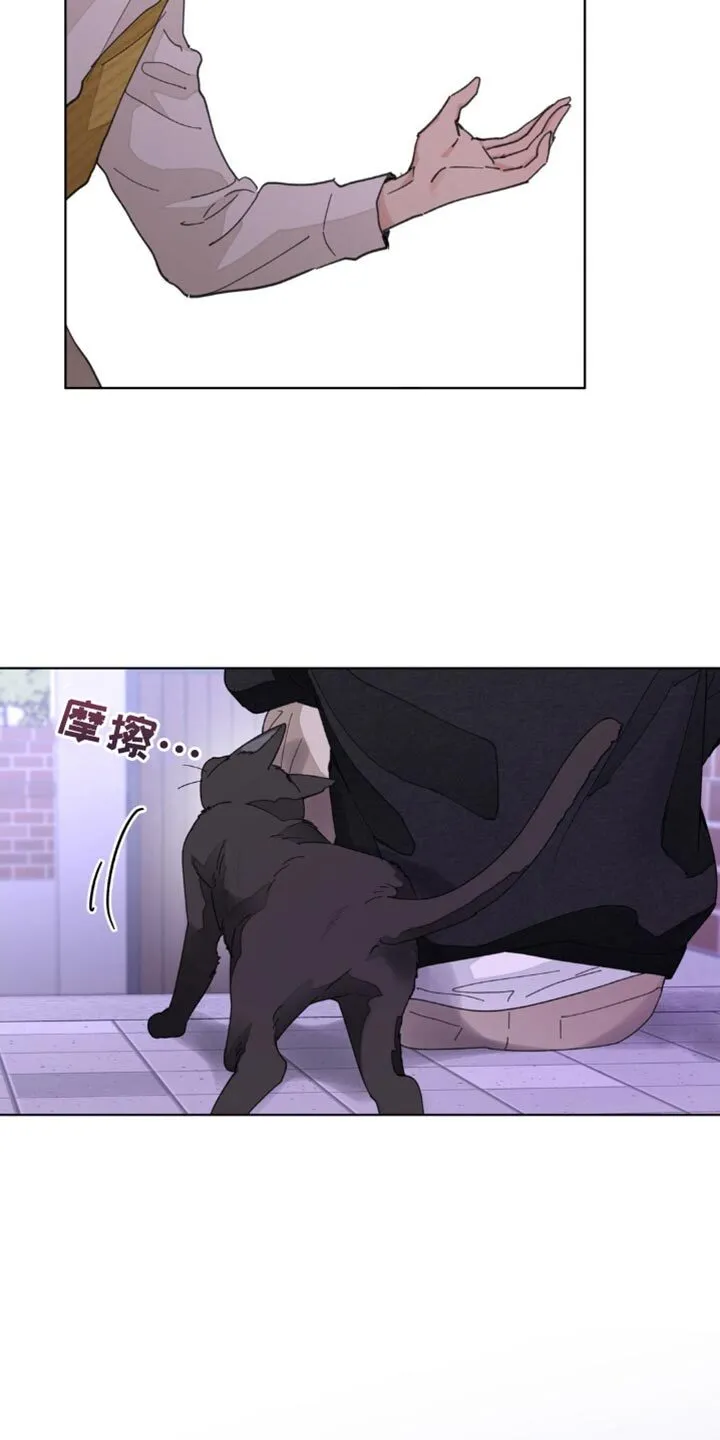 第160章：【番外】绝对不会忘记 第5页