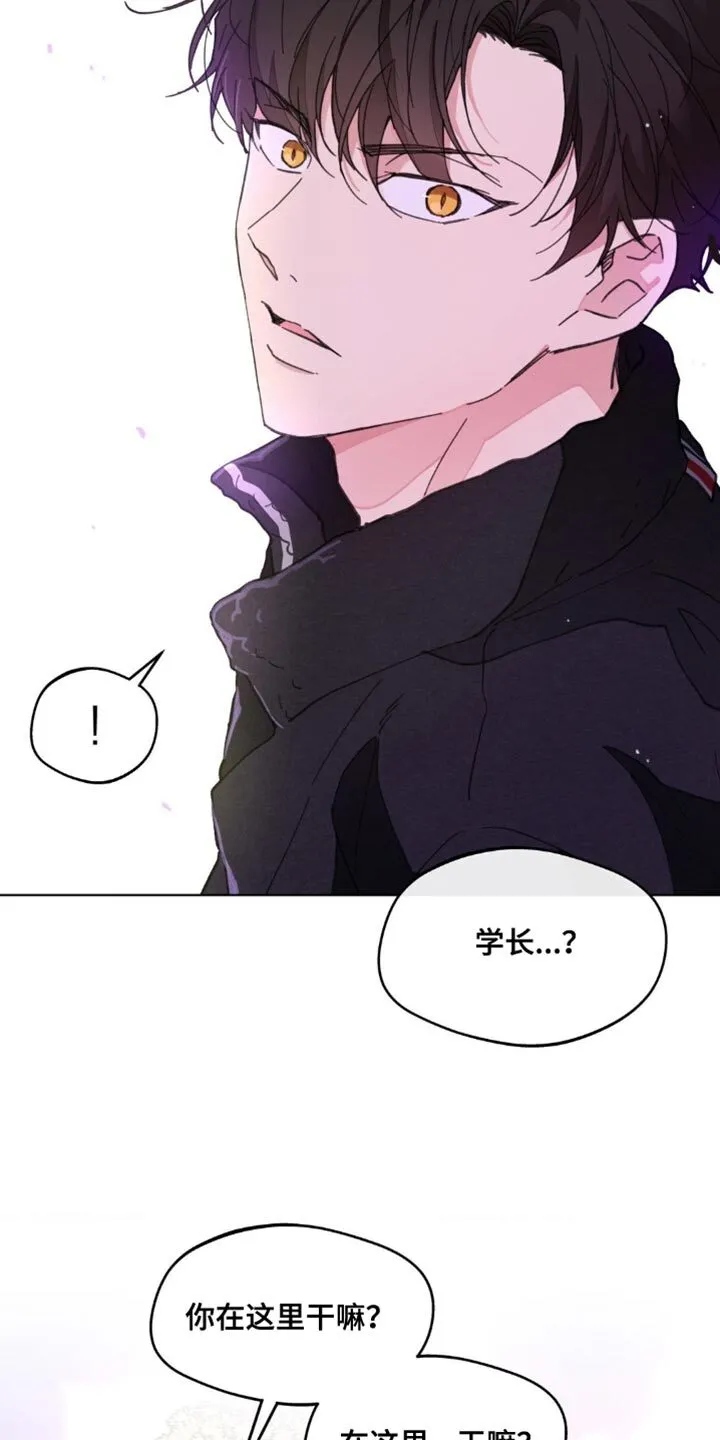 第160章：【番外】绝对不会忘记 第8页
