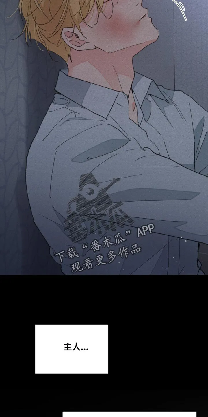 第164章：【番外】依然最爱你 第28页