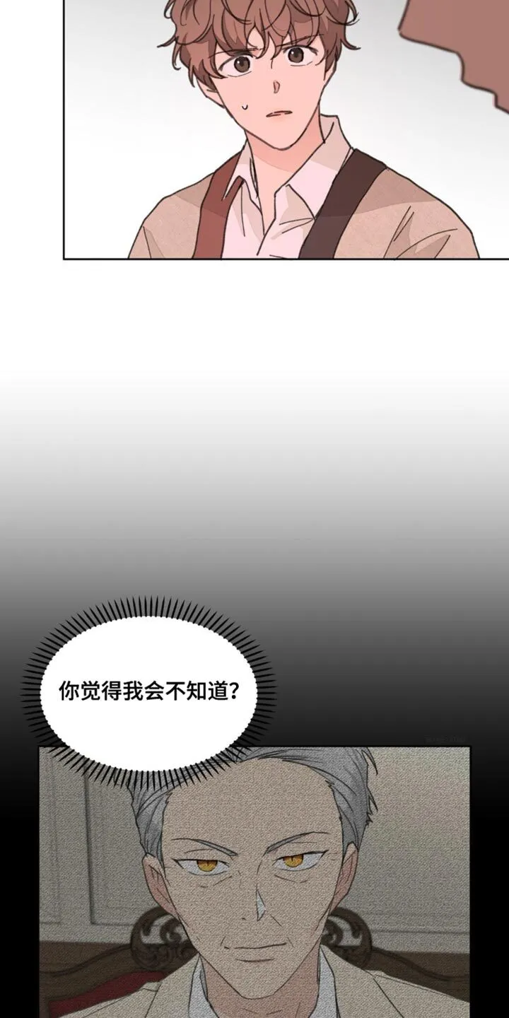 第167章：【番外】过去式 第28页