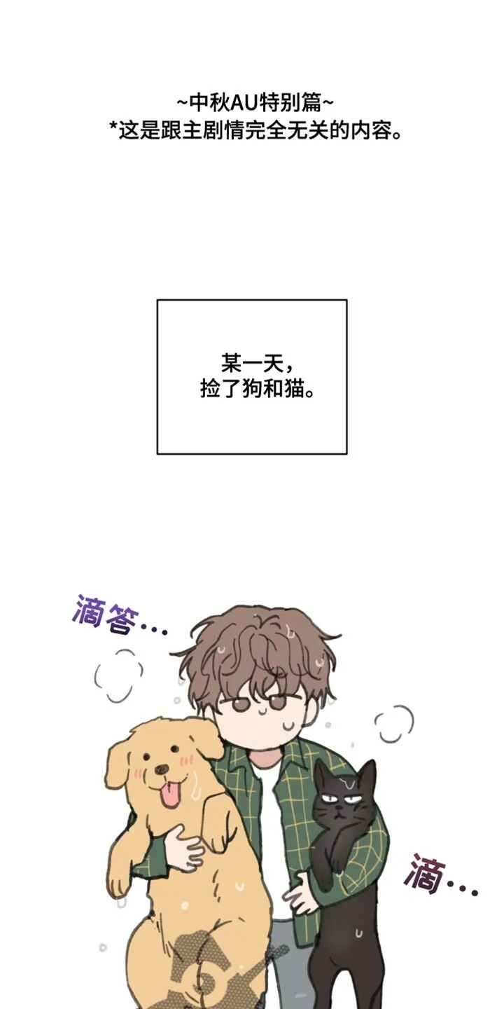 第168章：【番外】好美啊 第34页