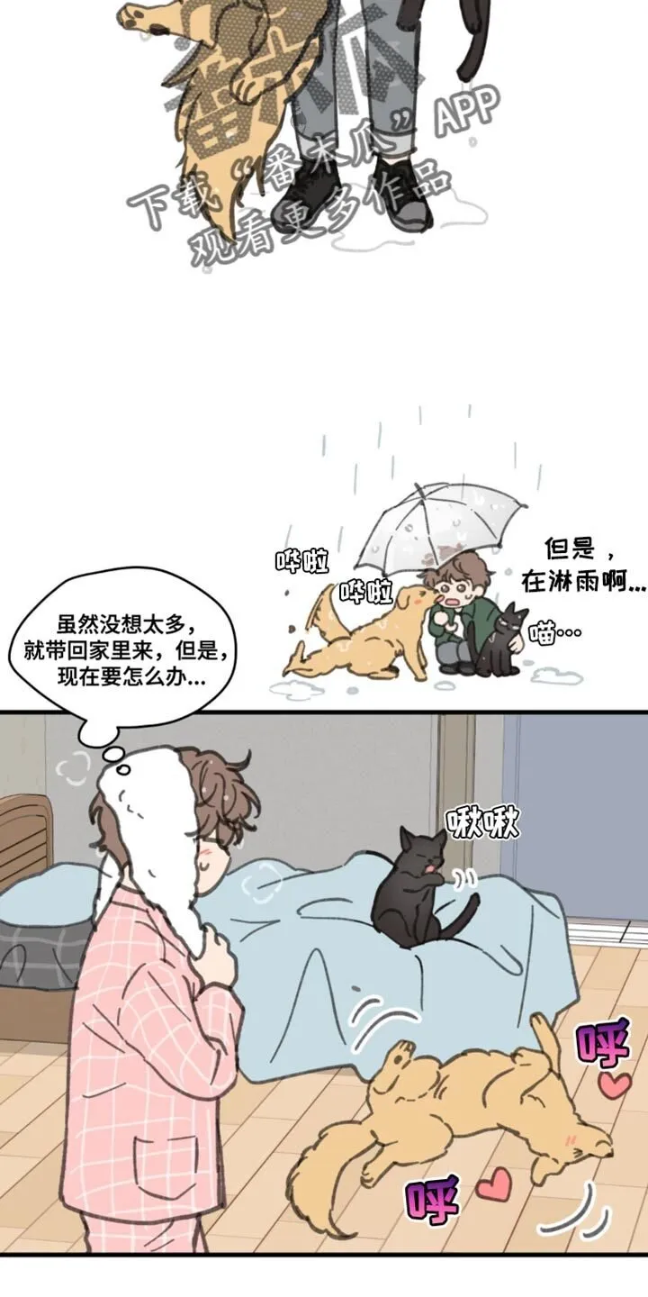 第169章：【番外】小猫 第2页