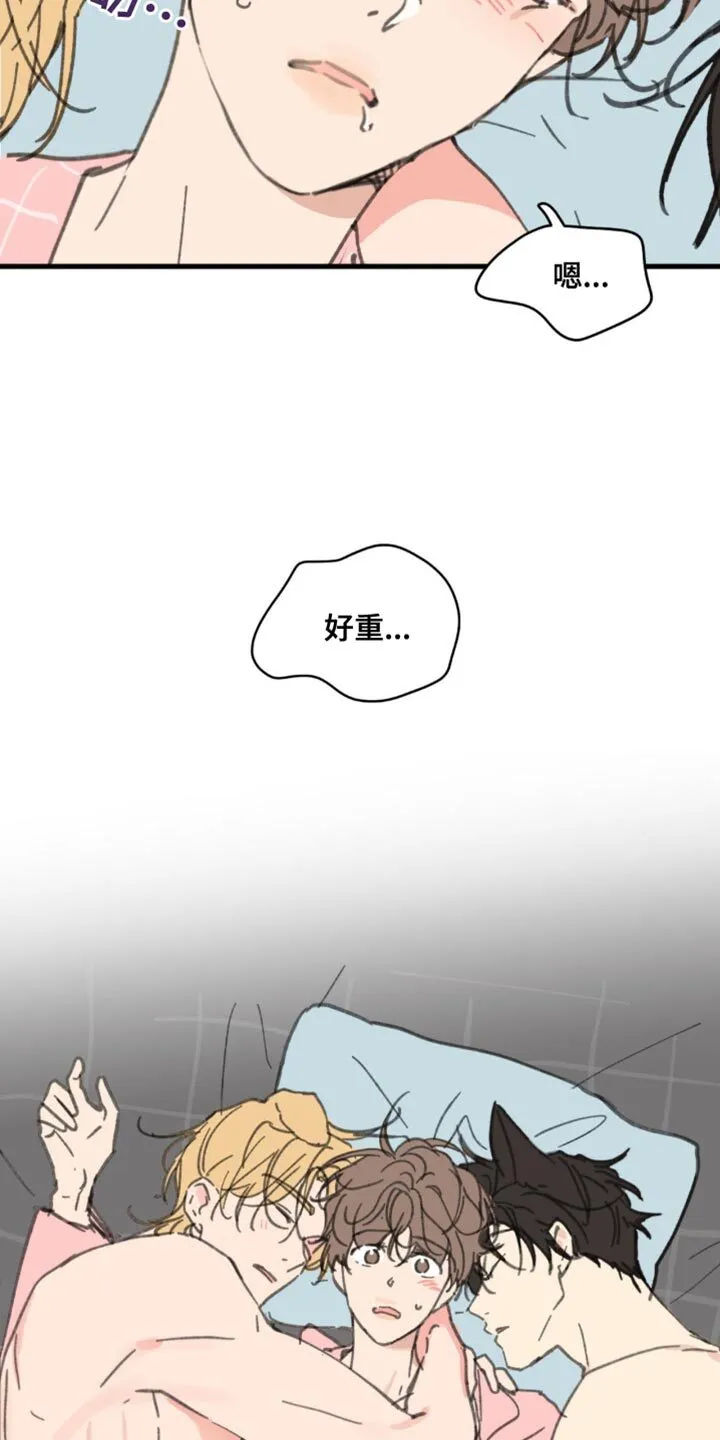 第169章：【番外】小猫 第5页