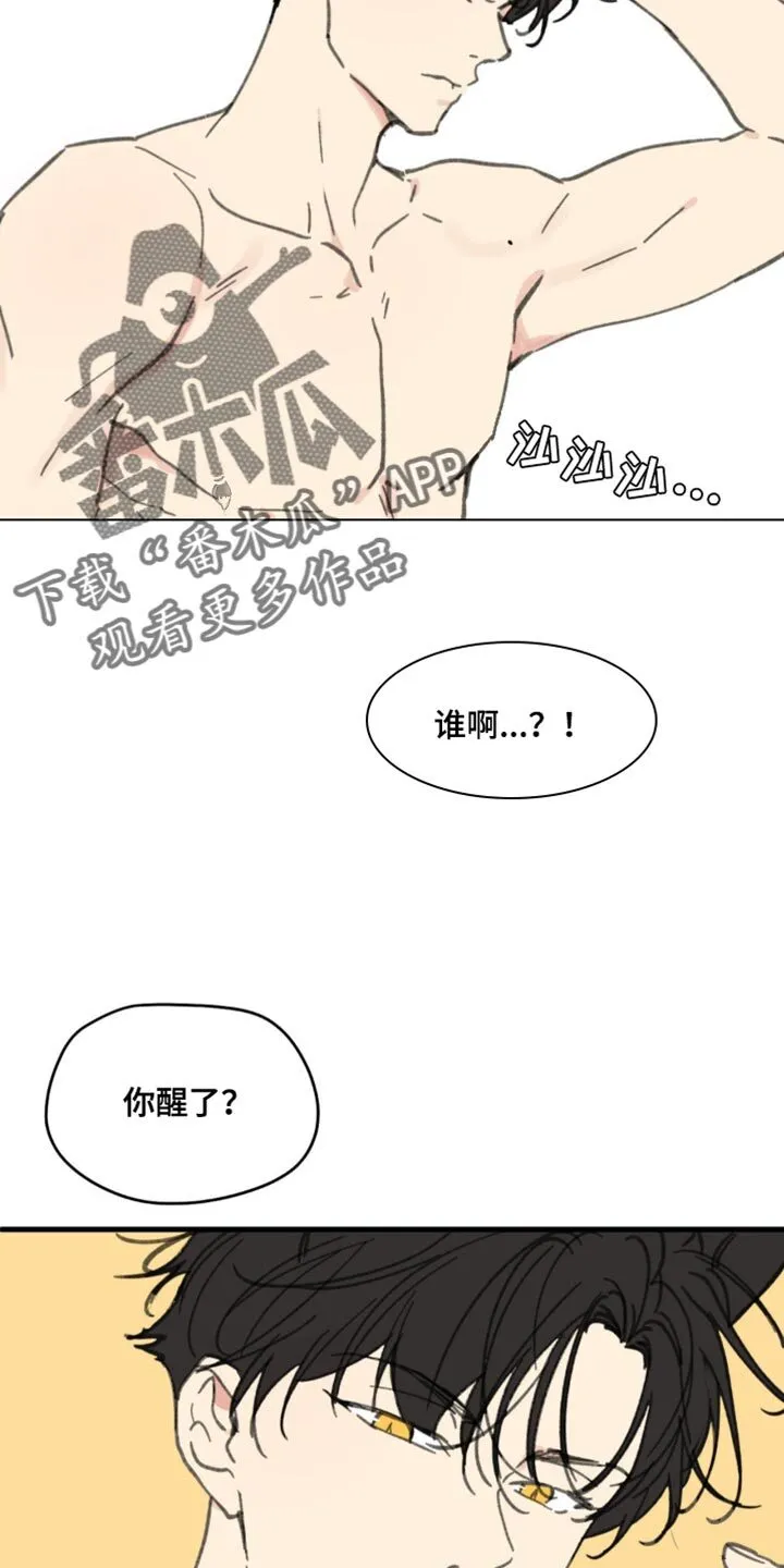 第169章：【番外】小猫 第7页