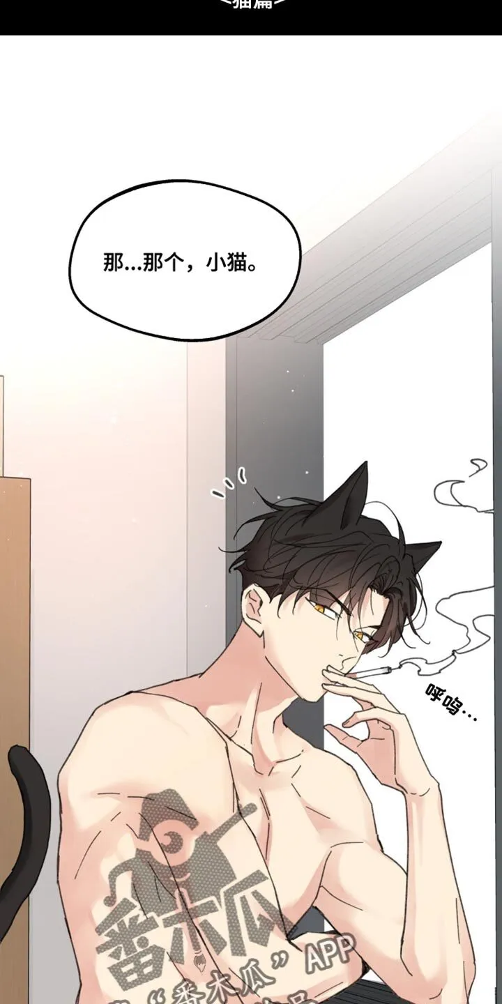 第169章：【番外】小猫 第11页