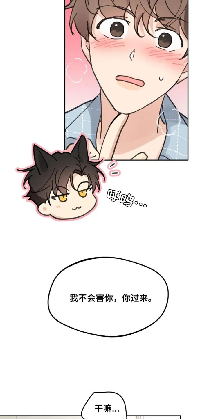 第169章：【番外】小猫 第15页