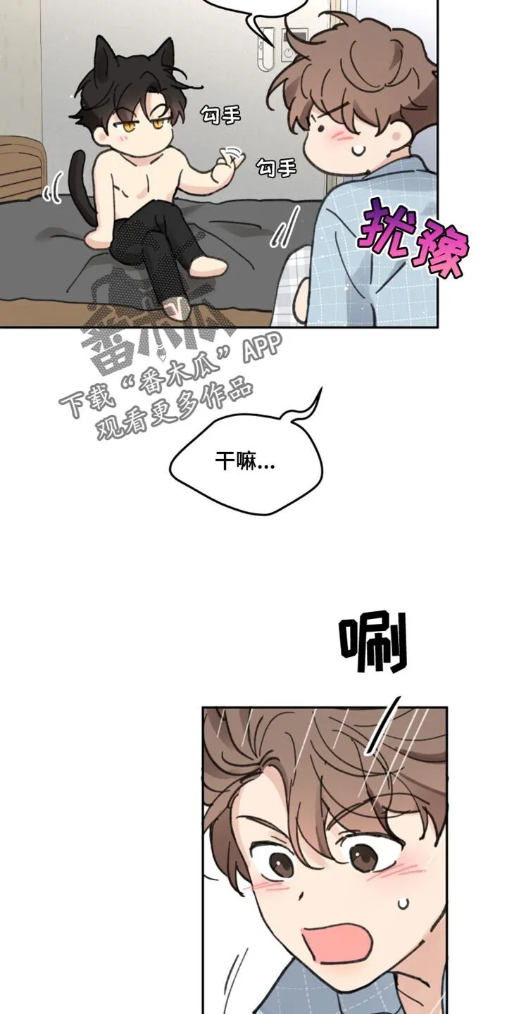 第169章：【番外】小猫 第16页